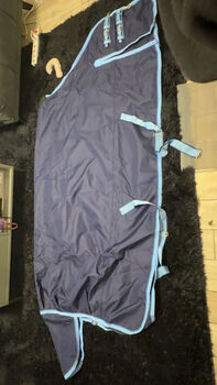 Paddockdecke 155 100g, Celine , Horse Blankets, Sheets & Coolers, Ibbenbüren 