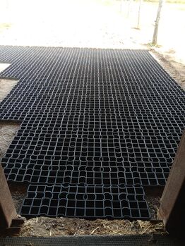 Paddock Matten Gitter, Agrarzone Paddock Gitter Matten , Nicole, Horse & Stable Mats, Sankt Georgen am Leithagebirge