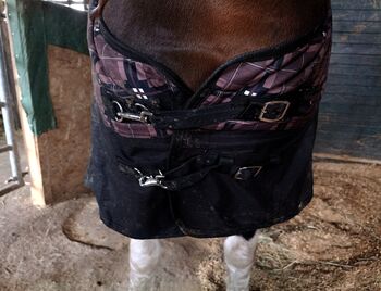 Paddock Outdoor Decke 300g Horse Friends  Paddock decke 