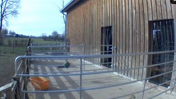 Paddockbox Box Roundpan Pferd Pony