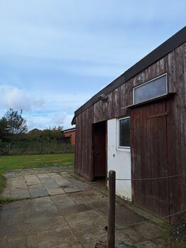 Paddockbox, Offenstall in Gelsenkirchen Resse ab sofort frei