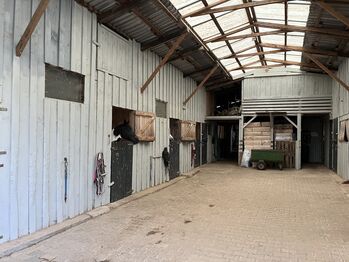 Paddock-Boxen in ruhiger Pferdepension, Dunja Krauß, Horse Stables, Althengstett