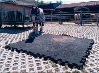Paddockmatten Stallmatten Liegematten, Ulrike , Paddock-, Boxen- & Stallmatten, Schorndorf 