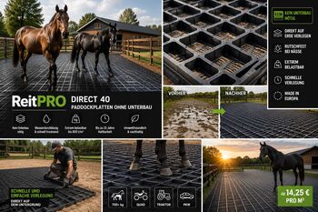 Paddockplatten ohne Unterbau kaufen - Rasengitter für Paddock, Pferdeauslauf & Stall MEGASPAR - Online Shop Rasengitter | Paddockplatten | Kunststoffmatten & Parkplatzgitter 