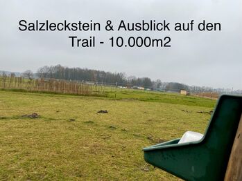 Paddocktrail Offenstall 10.000m2