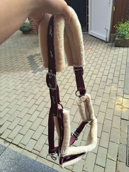 Fell Halfter, Michelle wilms , Halters, Eppstein 
