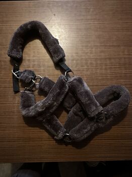 Fell Halfter, Showmaster, Anna Bunzendahl , Halters, Trendelburg