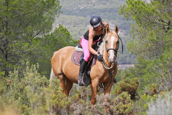 Palomino Quarab Stute in Palominofarbe, Yeguada Trébol, Pferd kaufen, Alcoy