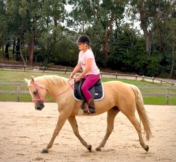 palomino quarter horse mare, amelia, Konie na sprzedaż, melborne