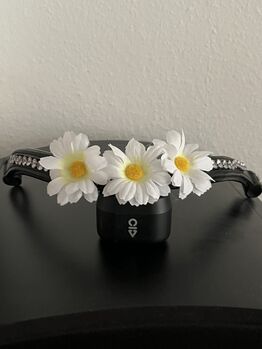 Stirnriemen mit Glitzer und Blümchen, Annika Schulte, Browbands, Lüdenscheid