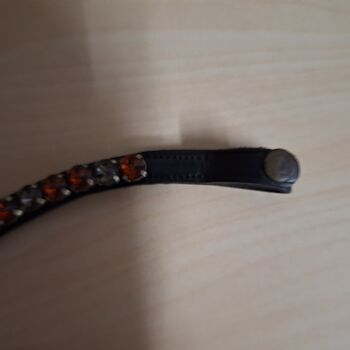 Stirnriemen WB Braun Grau Hufbotique