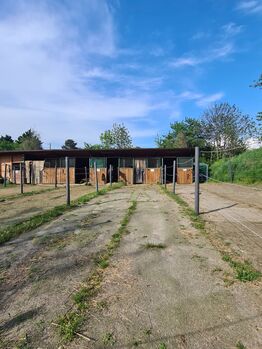 Einstellplatz in Wien- Paddockbox mit XXL Paddock, ReitClubDonaustadt (ReitclubDonaustadt), Horse Stables, Wien