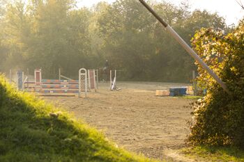 Einstellplatz in Wien - XXL Innenbox, ReitClubDonaustadt (ReitclubDonaustadt), Horse Stables, Wien