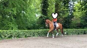 Eine Partnerin mit Herz sucht ihren Menschen