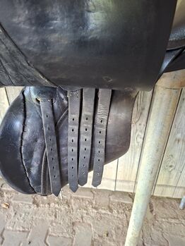 Passier 16,5" (Pony) VS Sattel Vielseitigkeitssattel Springsattel A-Tempi Passier  A-Tempi 