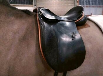 Passier 16zoll dressursattel, Passier, Filipczyk Sabrina, Dressage Saddle, Schortens 