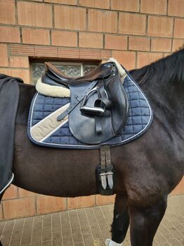 Passier A Tempi 17 Zoll Dressursattel, Passier A Tempi, Lina, Dressage Saddle, Kassel