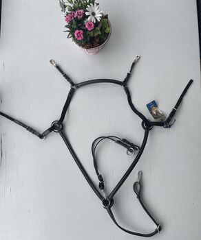 Passier Vorderzeug -ungebraucht-, Passier  Corvus, Daniela Gruber, Training Aids, Brombachtal