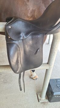 PASSIER Dressursattel schwarz, Passier Corona, Nathalie Vogt, Dressage Saddle, Aesch