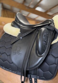 Passier Evo D, Passier Evo D, Carolin Scharf, Dressage Saddle, Herrenberg