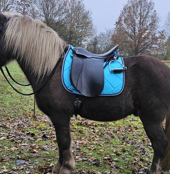 Passier Grad Gilbert, Passier  Grand Gilbert , Sylwia , Dressage Saddle, Kellinghusen 