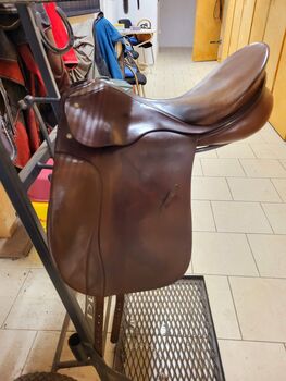 Passier Grand Gilbert, Passier  Grand Gilbert , Dana, Dressage Saddle, Tessin bei Boizenburg