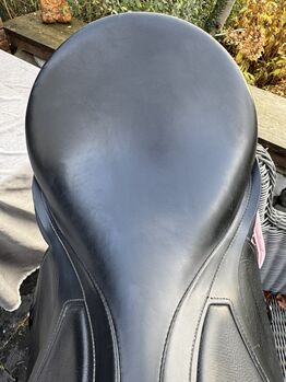 Passier Dressursattel Grand Prix Special, Passier Grand Prix Special , Nicole, Dressage Saddle, Aachen