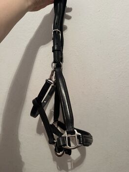 Passier Lederhalfter, Passier, Hannah, Halfter, Bischofshofen