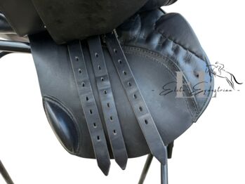 Passier Phoenix 17” Passier Phoenix