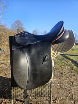 Passier young Champ 16", Passier  Young Champ , Sylwia , Dressage Saddle, Kellinghusen 