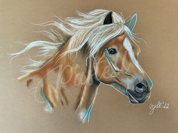Pastell Bild Haflinger Pferd Pony, Pastellbild, Mari, Sonstiges, Kevelaer