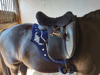 pearl Barock schabracke samt blau, pearl barock schabracke, Katrin , Dressage Pads, Tornesch 