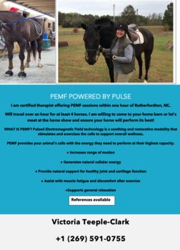PEMF Powered by Pulse, Victoria Clark, Terapia i leczenie, Rutherfordton, NC
