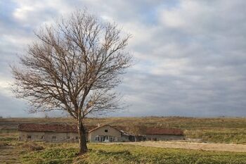 Pension,breaking,breeding, LexaZ, Other, Giurgiu