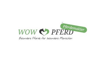 #perfectallrounder #spanishpowergirl PRE Pura Raza Española, Stute, 10 Jahre, Schimmel, 1,61m Stm.