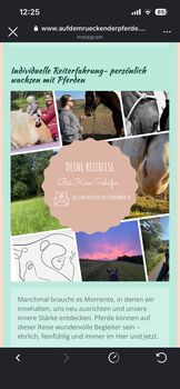 Persönlicher Reiturlaub/ Weiterentwicklung