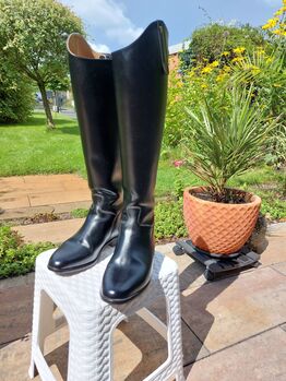 Reitstiefel Petrie Gr. 38, Petrie, Susan, Riding Boots, Lehnitz