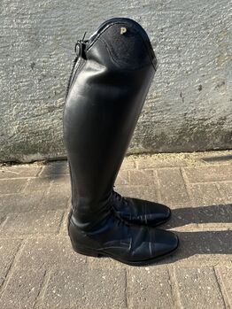 Petrie Reitstiefel Riva Petrie Petrie Riva 