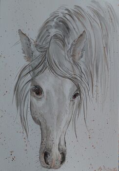 Pferd Aquarelle