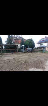 Pferdebox/Offenstall frei, Lea, Stallplätze, Empfingen