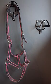 Pferdehalfter, Rita Kadziela , Reithalfter, Landsberg 