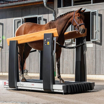 Pferdelaufband, ms Horse Economy Plus, Premium Trainer, VMS DUO, ms Horse GmbH, Reitplatz, Gerstetten