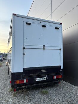 Pferdelkw Mercedes Mercedes