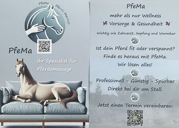 Pferdemassage PfeMa Münsterland und Ruhrgebiet, Diana Schmidt , Therapie & Behandlung, Dülmen 