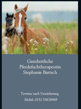 Pferdeosteopathin, Bartsch, Therapie & Behandlung, Calden