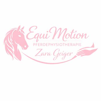 Pferdephysiotherapie, Zara, Therapie & Behandlung, Allersberg 