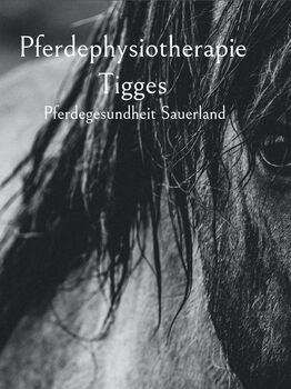 Pferdephysiotherapie und Trainingstherapie, Mai Lee Tigges , Therapie & Behandlung, Arnsberg
