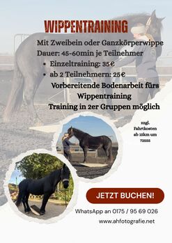 Pferdetraining, Hängertraining, Freiarbeit, Gelassenheitstraining, Wippentraining