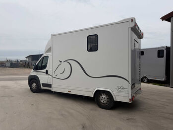 Pferdetransporter 2 Ride Citroen Nur 29.200KM Viehtransporter Dickenherr Dickenherr 2 Ride 
