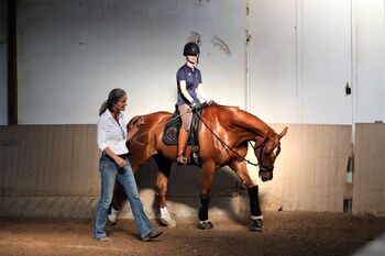 Pferdewirtschaftsmeisterin und Reitlehrerin FN bietet Reitunterricht, Katrin Albrecht, Reitunterricht, Ratingen 